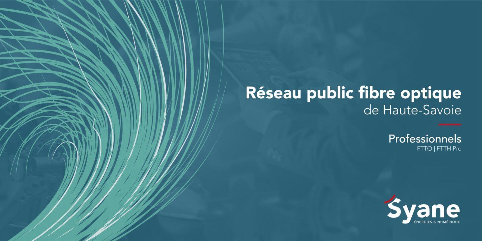 illustration_reseau_public_fibre_optique_syane_professionnels_haute-savoie