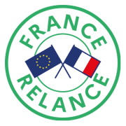 syane fibre - syndicat de l'énergie et du numérique en haute savoie icon france relance
